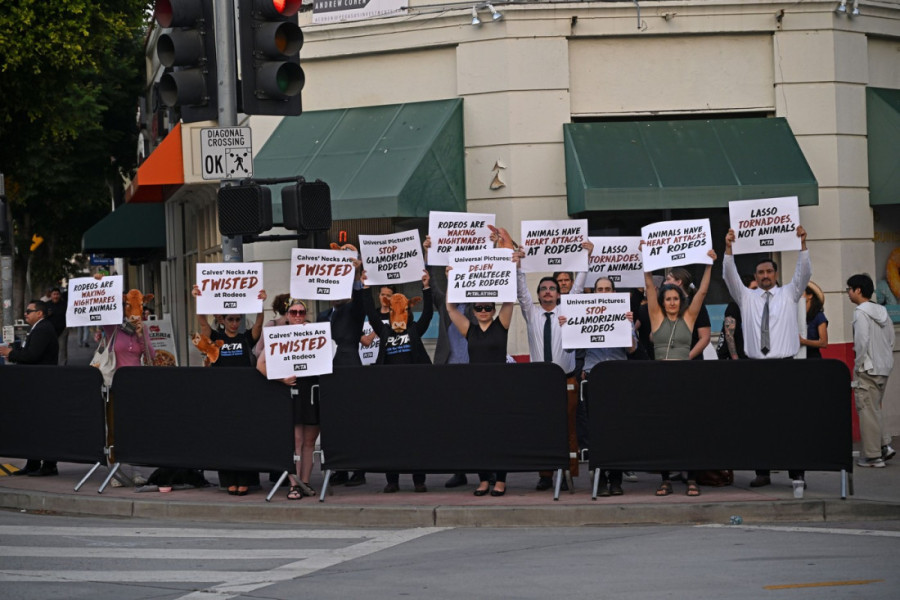 Skandal na svetskoj premijeri filma "Tornado 2": Vrištanje u publici, glumci šokirani (FOTO/VIDEO)