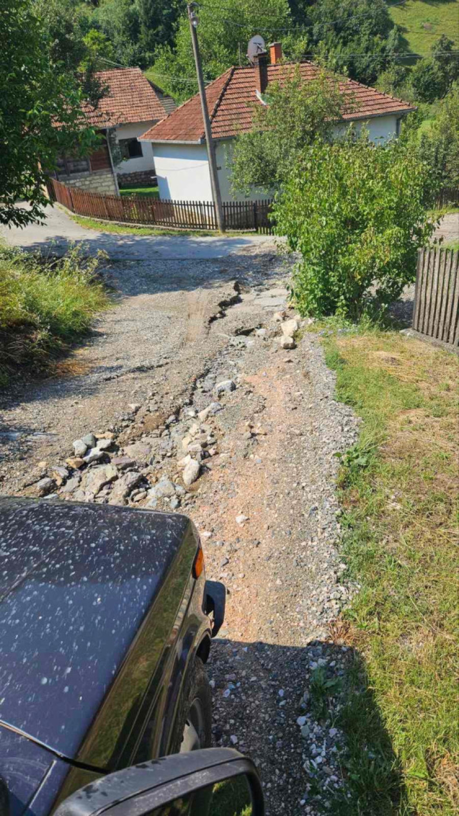 Razorno nevreme pogodilo Kosjerić: Drveće čupalo iz korena, nosilo krovove, putevi odsečeni od sveta (FOTO)