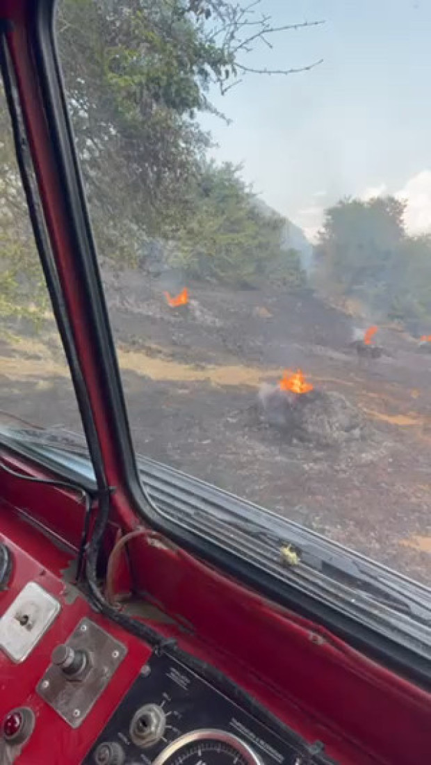 Pas upao u reku, vatrogasci ga spasli:  Pune ruke posla za Službu zaštite i spasavanja Bijelo Polje