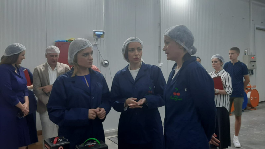 Irena u "srpskoj Toskani" napravila firmu i jedna je od najuspešnijih preduzetnica (FOTO)