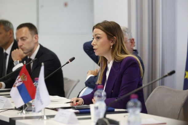 Mesarović: Srbija je danas ekonomski, finansijski i politički stabilna zemlja