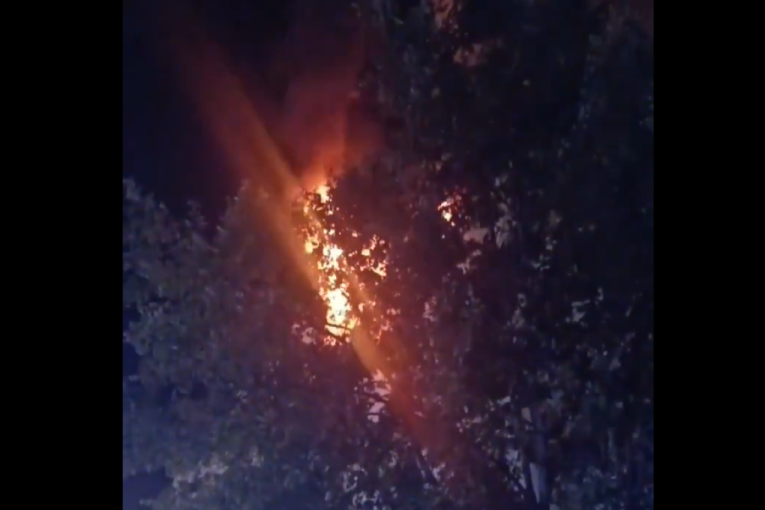 U stravičnom požaru u Francuskoj poginulo sedam osoba: Zgrada buknula, vatrogasci se celu noć borili sa stihijom (VIDEO)