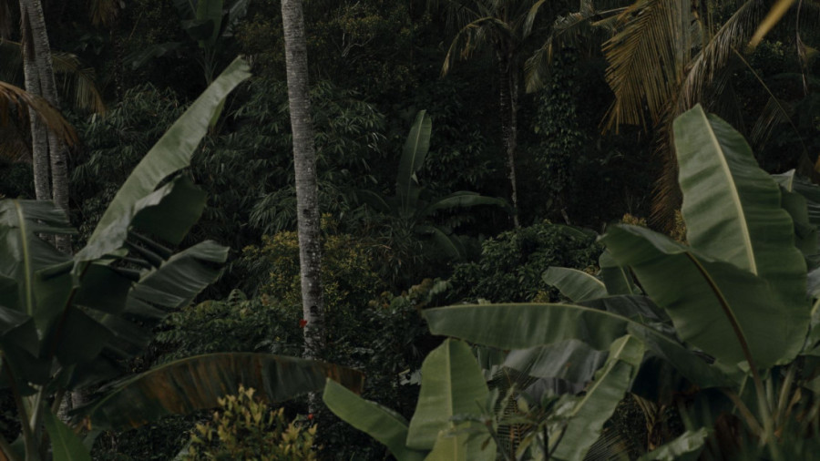 Svetska premijera srpskog filma "Mogućnost raja" u Veneciji: Čudni likovi na još čudnijem ostrvu (FOTO)