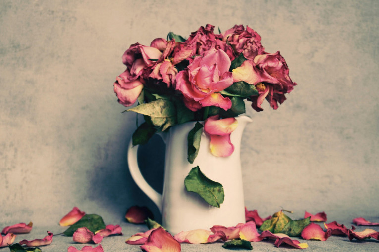 Poslednje reči ljudi koji umiru od raka su najčešće ove četiri fraze: Onkolog kaže da nas one uče životu