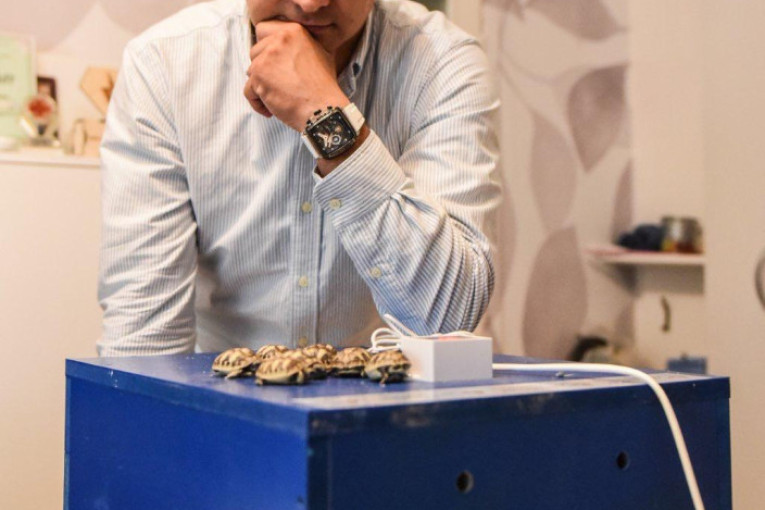 Nikola načinio nesvakidašji podvig, šumske kornjače stigle na svet u njegovom inkubatoru: "Ako nađemo jaja dinosaursa,..."