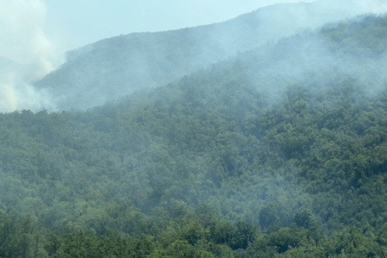 Ogroman šumski požar u brdima iznad Budve još uvek tinja: Vatrogasci se čitavu noć borili sa buktinjom (FOTO/VIDEO)
