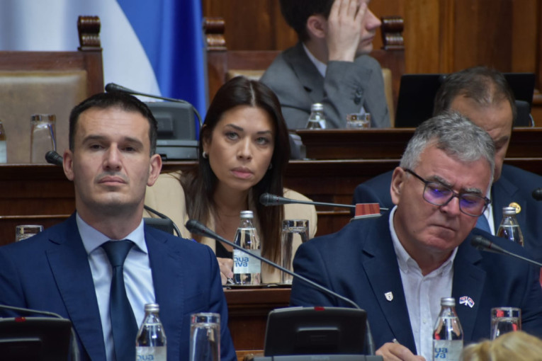 Ministarka Vujović: Država neće dozvoliti realizaciju projekta "Rio Tinta" bez pune zaštite životne sredine