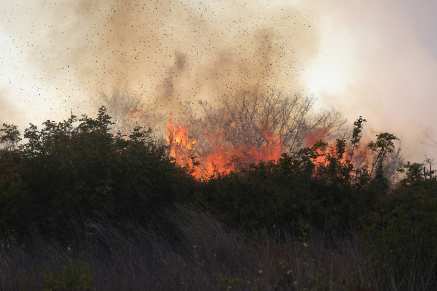 Veliki požar bukti u Hrvatskoj: Gori oko 50 hektara borove šume, sa stihijom se bori 35 vatrogasaca