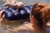 Jeziva scena na Adi Ciganliji: Žena na kupanje povela pacove (VIDEO)