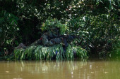 Kako se vojnici pripremaju za akcije iz senke: Pogledajte rigoroznu obuku izviđača na vodi (FOTO)