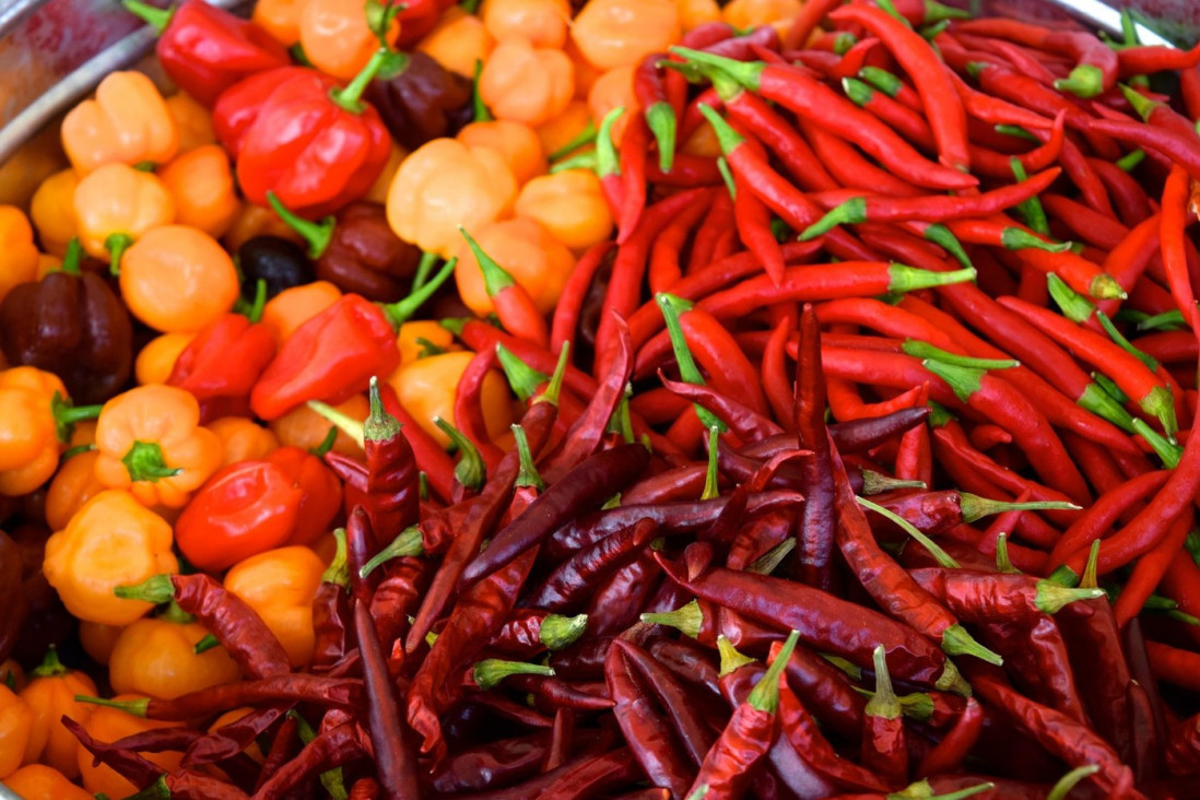 Uvek spremni: Bilo da želite jaku ko otrov ili pak da je izbegnete, prepoznajte papričicu najljuću od svih