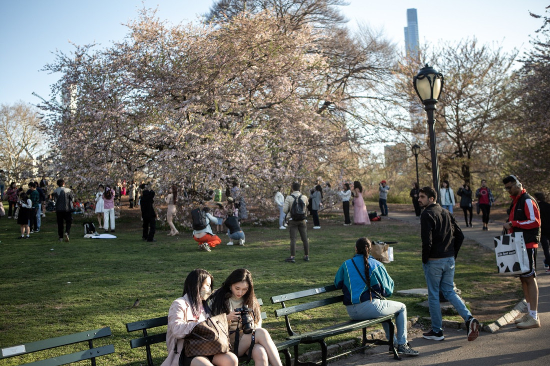 Pljačke i napadi rastu u Central Parku, Njujorčani besni: "Nikada se nismo osećali ovako nesigurno"