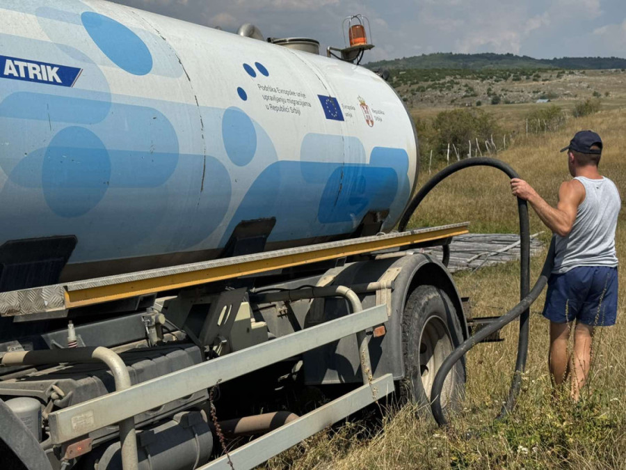 Dramatični prizori stižu sa Pešteri: Životinje nam umiru na livadi, žedni smo i mi i naša stoka! (FOTO)