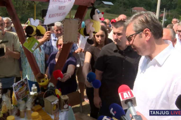 "Ogroman novac su uložili u moje rušenje" - Vučić u Medveđici: Moj otpor za slobodarsku i uspešnu Srbiju biće najžešći mogući