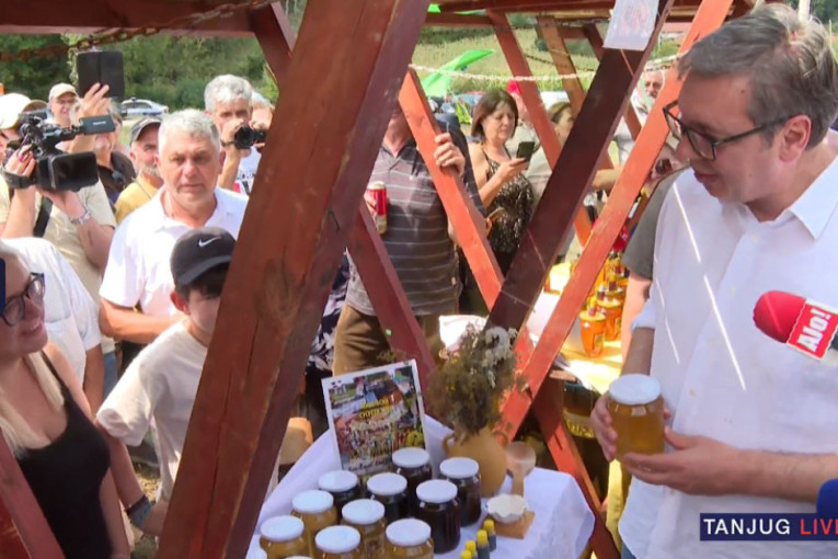 "Ogroman novac su uložili u moje rušenje" - Vučić u Medveđici: Moj otpor za slobodarsku i uspešnu Srbiju biće najžešći mogući