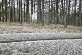 Zabelelo se kao da je januar: Jako olujno nevreme praćeno gradom pogodilo Zlatibor (FOTO/VIDEO)