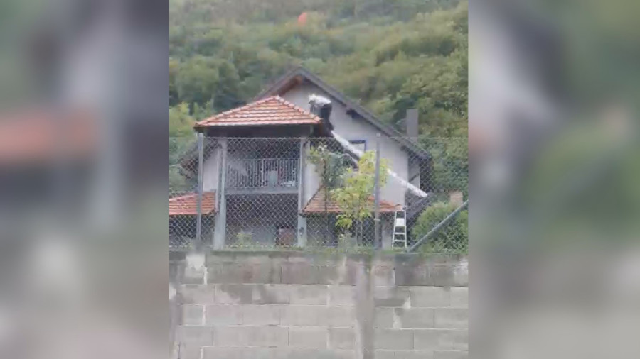 Arsenije iz Užica je jedan od retkih koji hvata stršljenove: Gnezde se ispod krovova, a njihov ubod može biti smrtonosan!