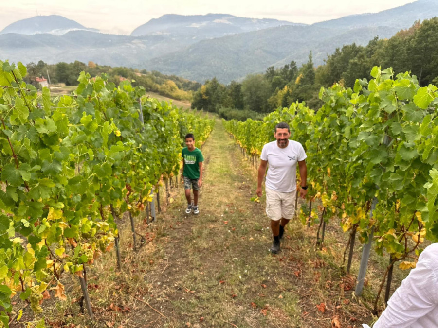 Tomići na Kablaru imaju veličanstvene vinograde: Po staroj porodičnoj recepturi prave kvalitetna vina (FOTO)