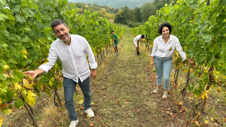 Tomići na Kablaru imaju veličanstvene vinograde: Po staroj porodičnoj recepturi prave kvalitetna vina (FOTO)
