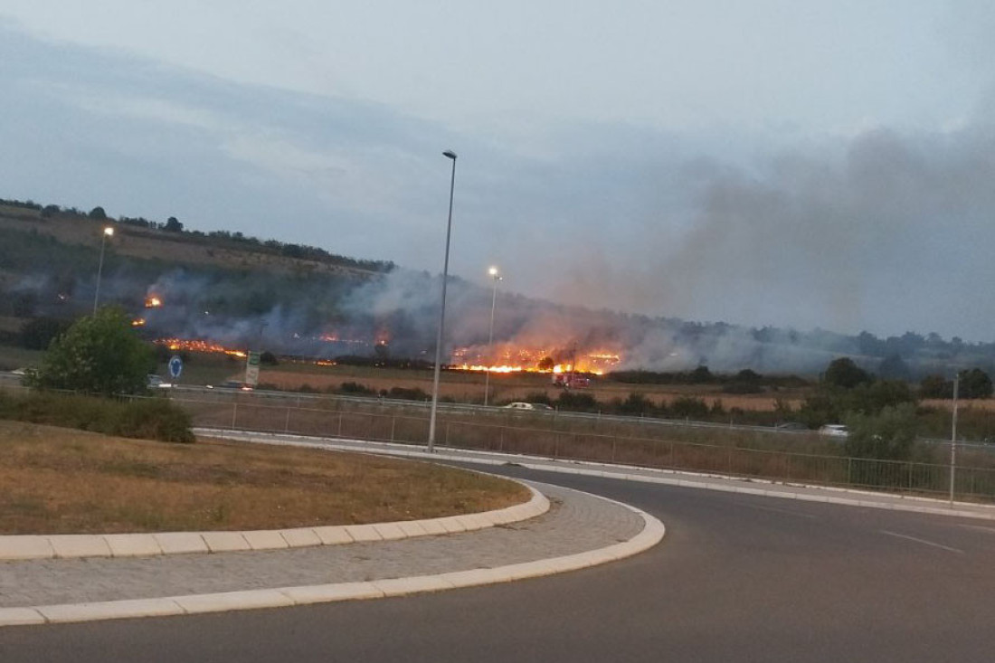 Bukti požar kod Bubanj Potoka: Vatra se brzo širi - vatrogasci na terenu (FOTO)