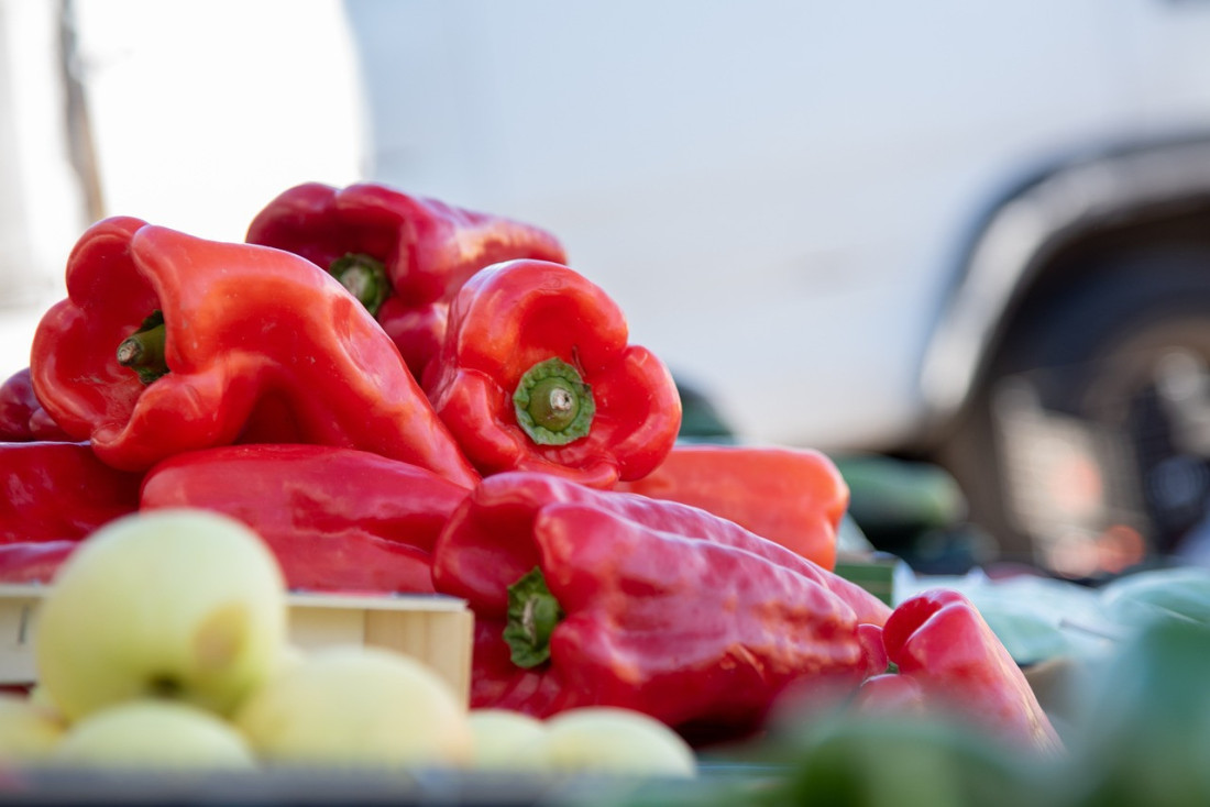 Rod maline prepolovljen: Otkupna cena za kilogram i viša od 600 dinara