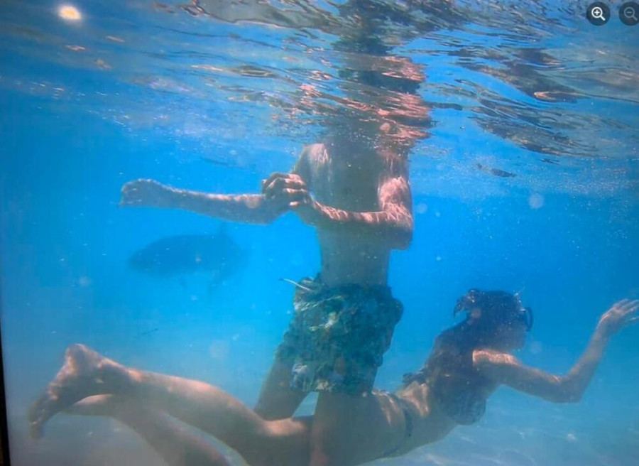 Ivana uzela da pogleda podvodne snimke, a onda je doživela šok: Nije svesna koliko je imala sreće, mogao je da bude horor!