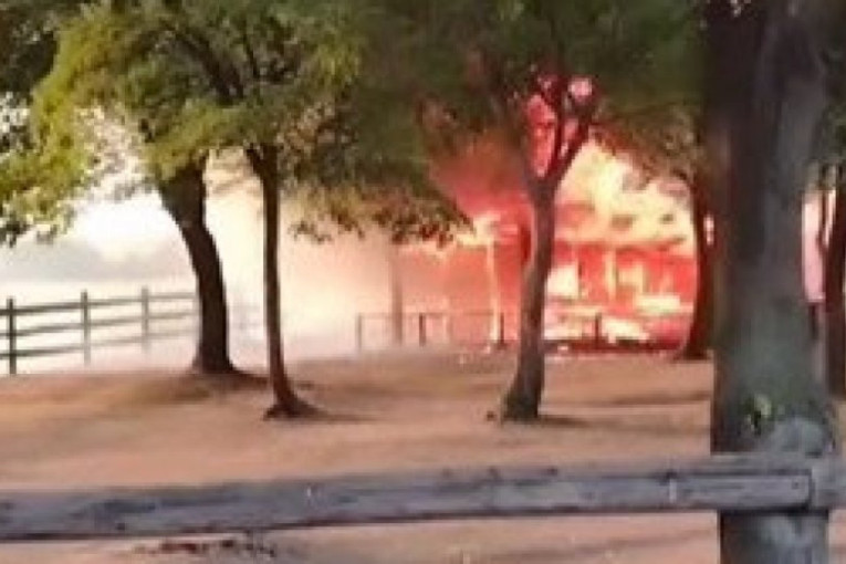 Požar u poznatom restoranu u okolini Pančeva: Vatra zahvatila i ergelu (VIDEO)