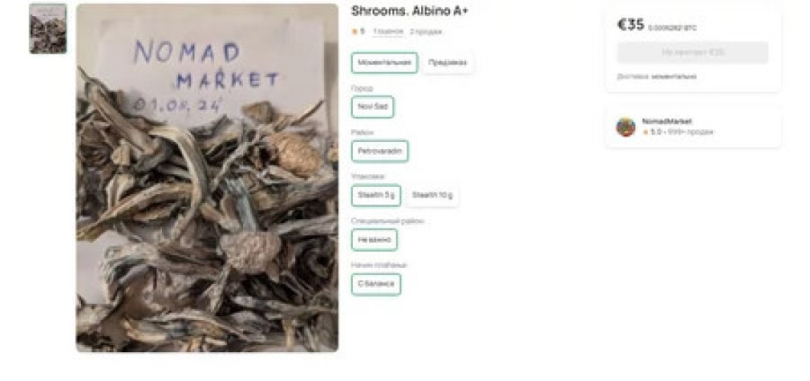 Nema da nema, može samo da nestane: Srbija oblepljena zelenim nalepnicama sa mačkom koja skriva jezivu istinu! Policija na nogama!