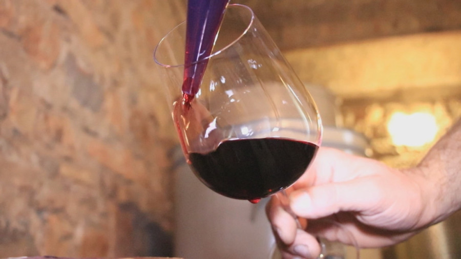 Nemanja ide stopama svog pradede: U rodnom selu ima vinograd za ponos, a vina pravi isključivo po tradiocionalnoj recepturi predaka (FOTO)