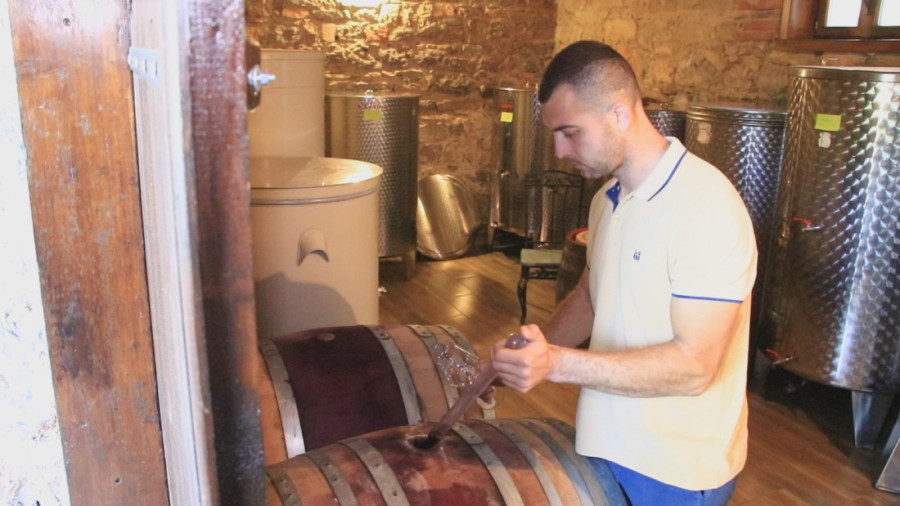 Nemanja ide stopama svog pradede: U rodnom selu ima vinograd za ponos, a vina pravi isključivo po tradiocionalnoj recepturi predaka (FOTO)