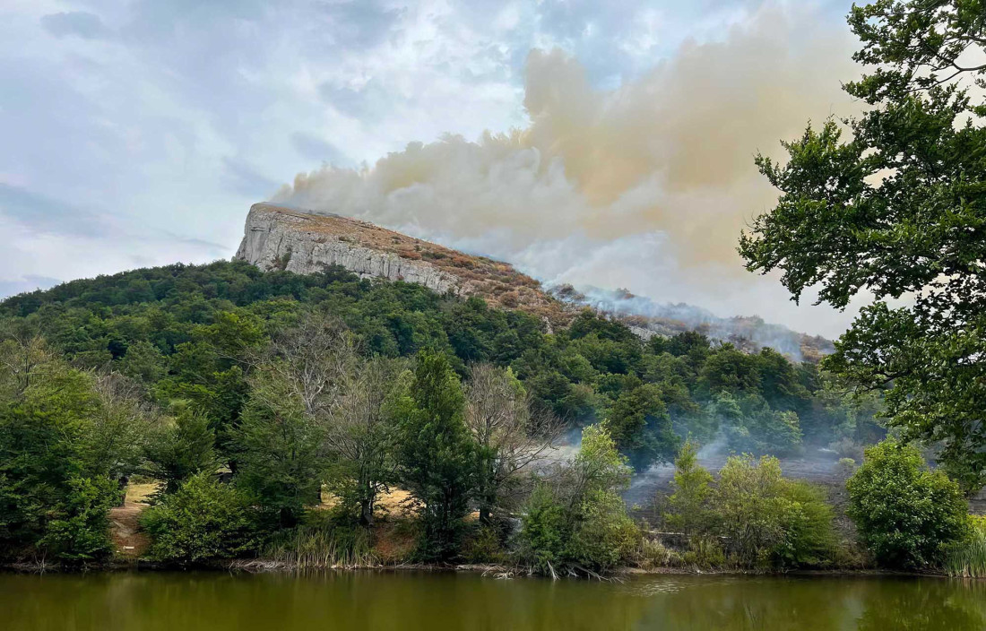 Gde sve gori po Srbiji: Pogledajte užasne slike požara koji ovih dana divljaju po našoj zemlji (VIDEO)