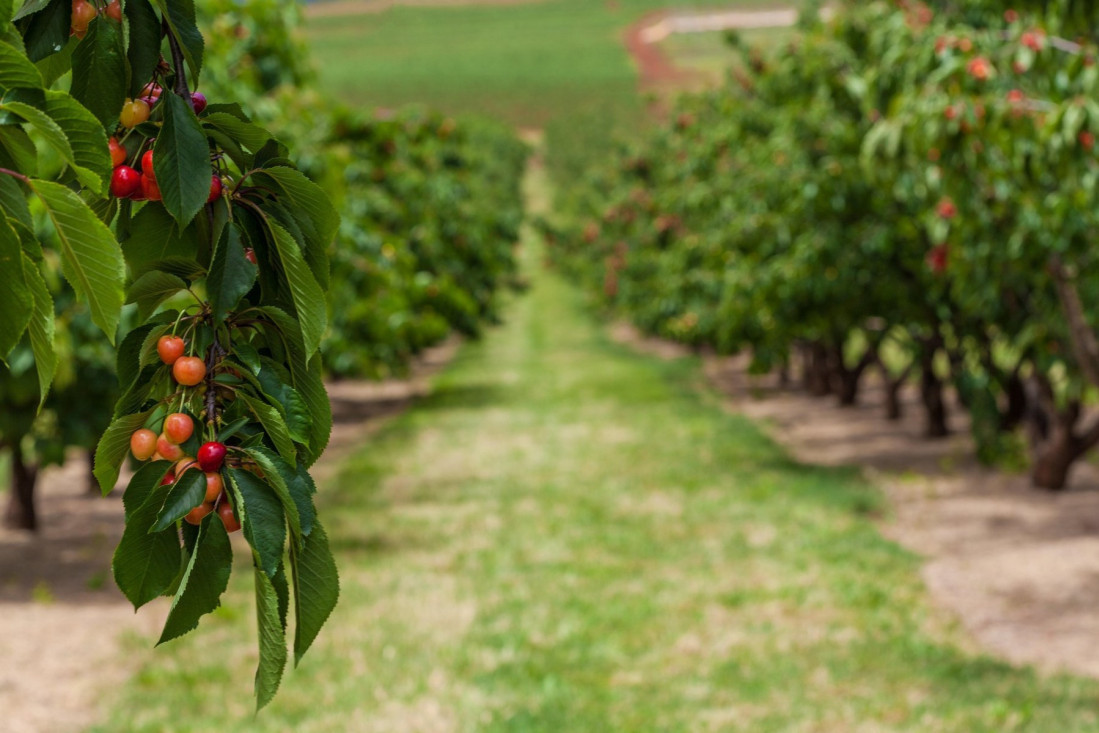 Ko ima pravo na duplu dnevnicu ako radi na Dan primirja? Ova grupa građana dobro će se opariti!