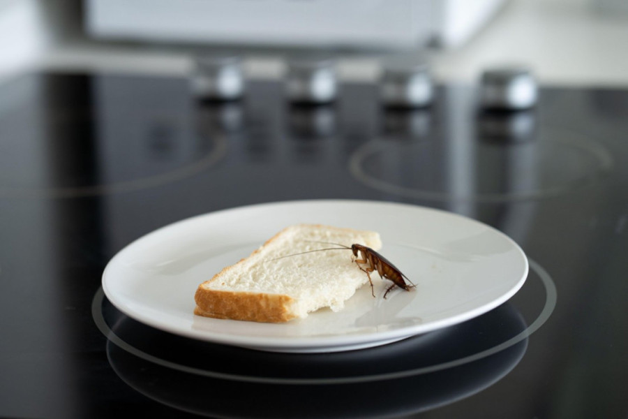 Grozno, ali pametno: Zašto bi trebalo da zapušite odvode pre nego što krenete na put