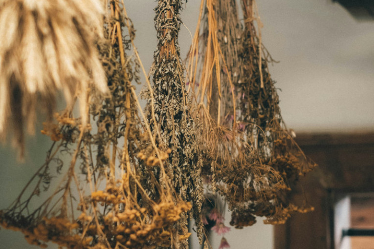 Drevna civilizacija puna zagonetki: Četiri stvari koje verovatno niste znali o Inkama