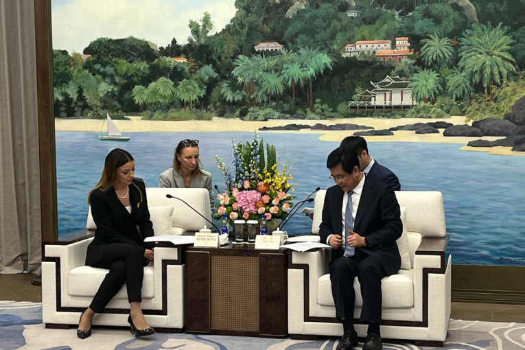 Ministarka Adrijana Mesarović pozvala Kinu da investira u našu zemlju: Srbija svakim danom pokazuje da su njena vrata otvorena za prijatelje