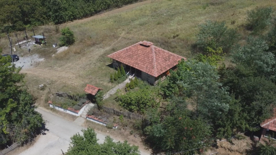 Api komora ga preporodila! Marko iz Beča spas od "menadžerske bolesti" pronašao usred Srbije (FOTO)