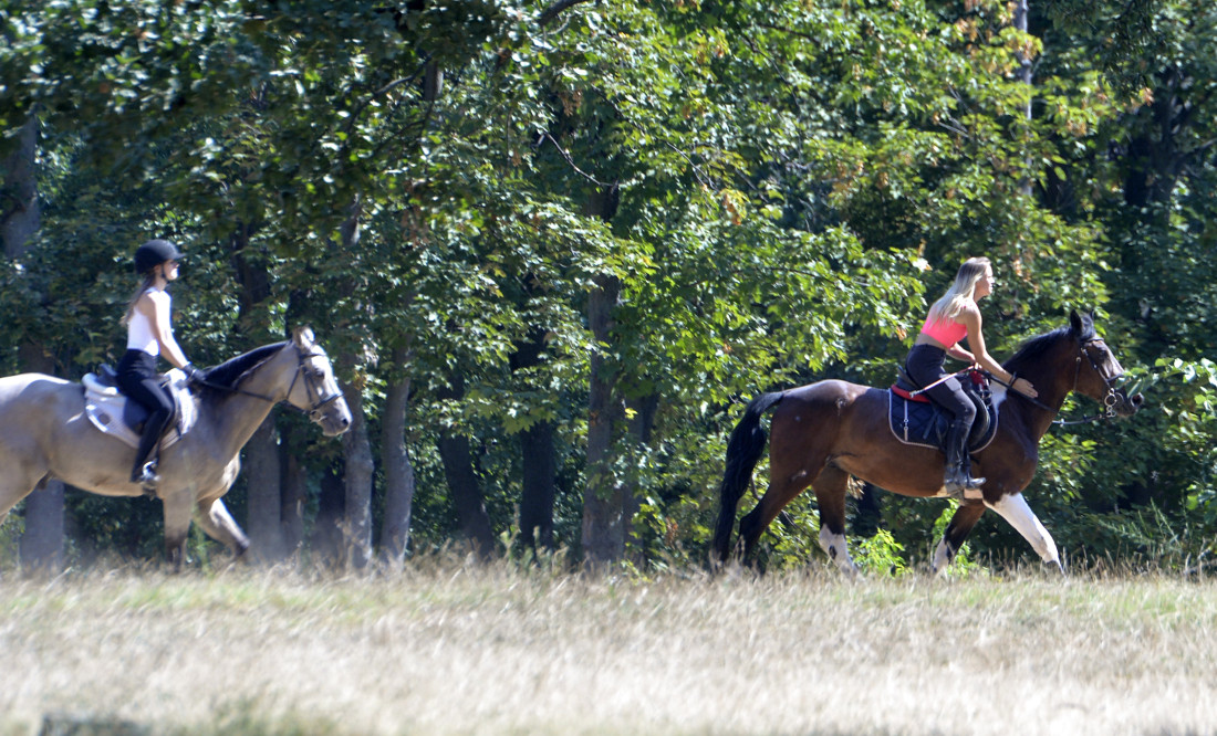 Danas već toplije! Uživajte u 30 stepeni, jer opet stižu pljuskovi i grmljavina
