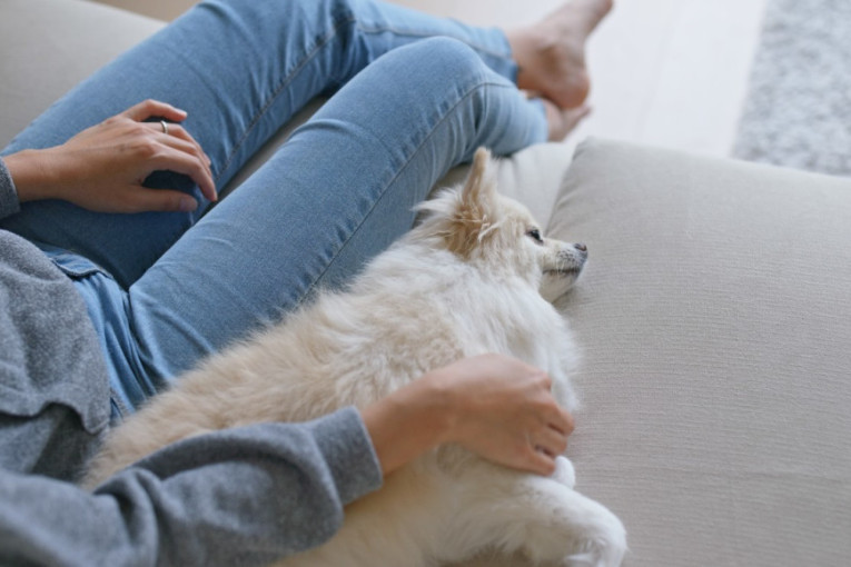 TOP 7 rasa koje su beznadežni romantičari: Pronađite svoju srodnu dušu među ovim prelepim ljubimcima