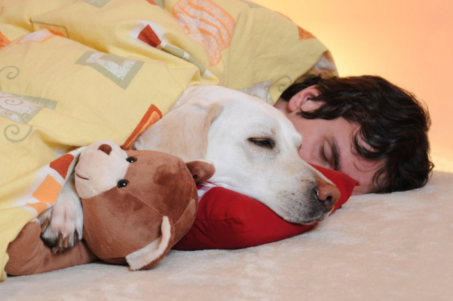 Najverniji prijatelji koji će vam vratiti osmeh na lice: Šest rasa pasa koje leče anksioznost i depresiju