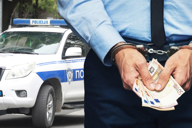 Pun dosije vozača kobnog "audija": Evo sa kim je bila Ana Radović