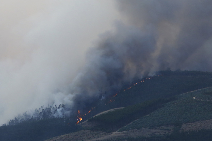 Bukti više od 100 požara! Portugal proglasio vanrednu situaciju u najteže pogođenim oblastima