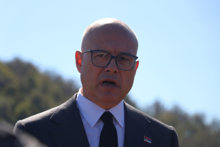 Vučević o sramnoj Ponoševoj objavi: Zloupotrebljavaju jezivu tragediju zarad jeftinih poena, a opet im je meta Vučić