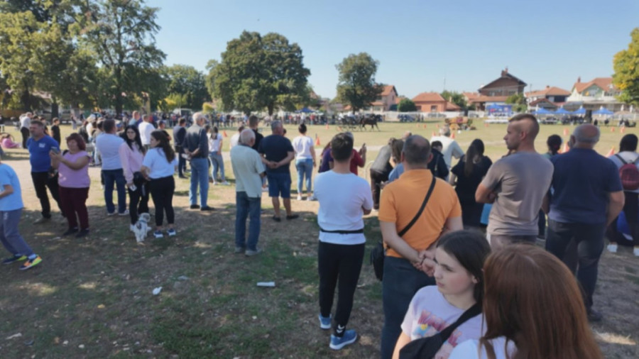 Prolomio se aplauz usred Svilajnca! Zbog pastuva Ciga i kobile Bebi svi su bili oduševljeni (FOTO)