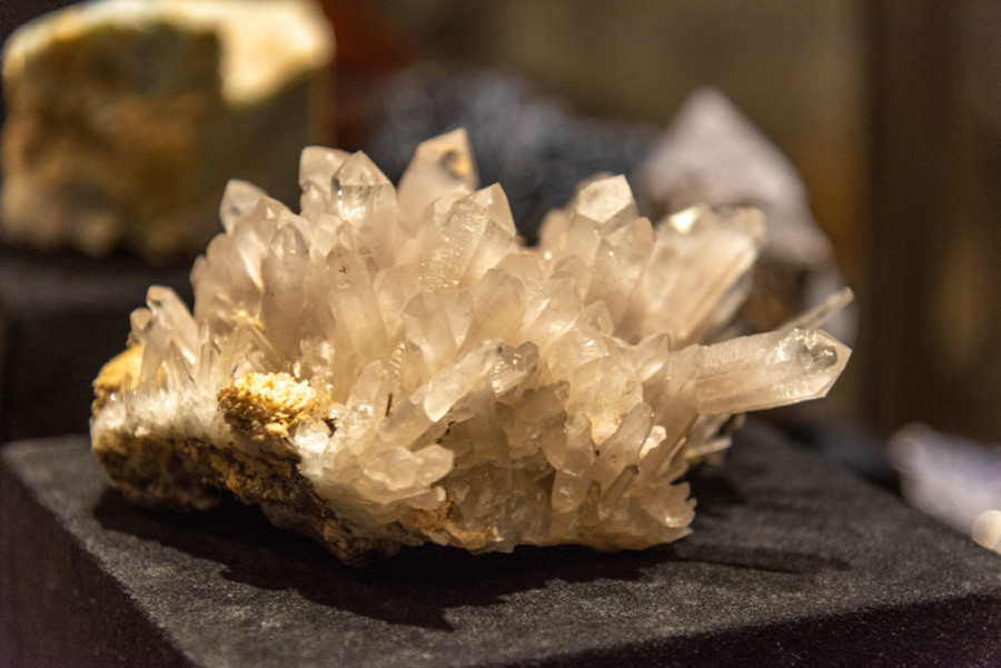 Prirodnjački muzej obeležava 129 godina postojanja: Besplatna izložba jedinstvene kolekcije Josipa Broza Tita (FOTO)