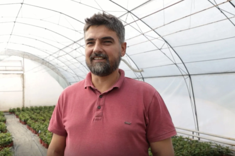 Porodični biznis u cvetu: Igor Vujić i rasadnik "Florenza" (VIDEO)