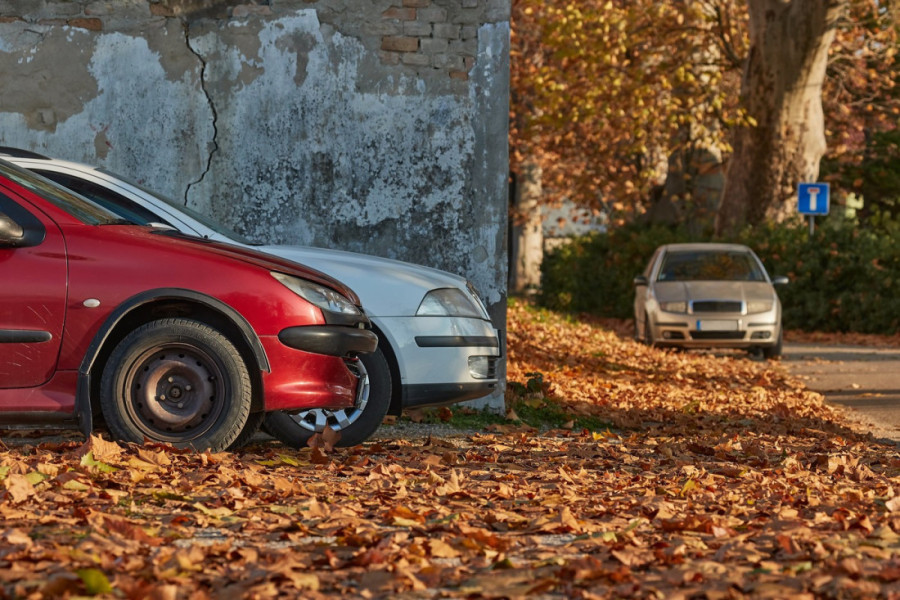 Važno je da svakodnevno uklanjate opalo lišće sa vozila: Može izazvati ozbiljne kvarove