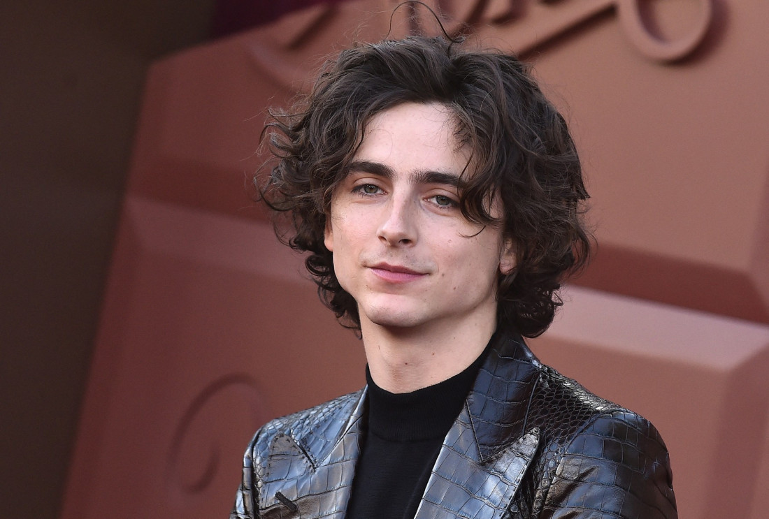 Prve kritike na biografski film o Bobu Dilanu: Da li će Timoti Šalame ući u istoriju? (FOTO/VIDEO)