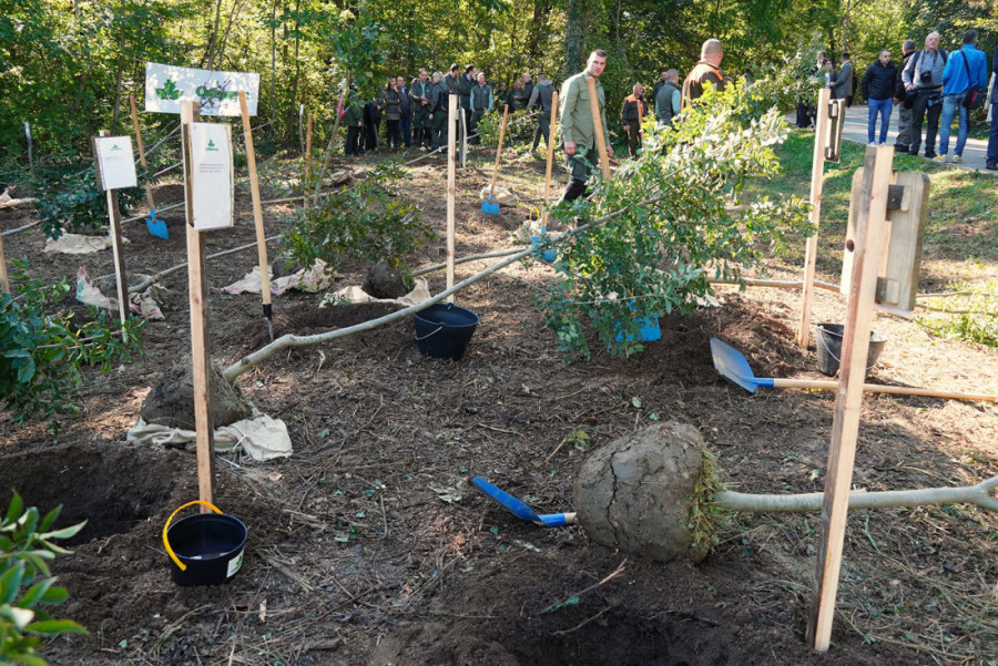 Vučević: Važno da proširimo površine za pošumljavanje, cilj dve hiljade hektara (FOTO)