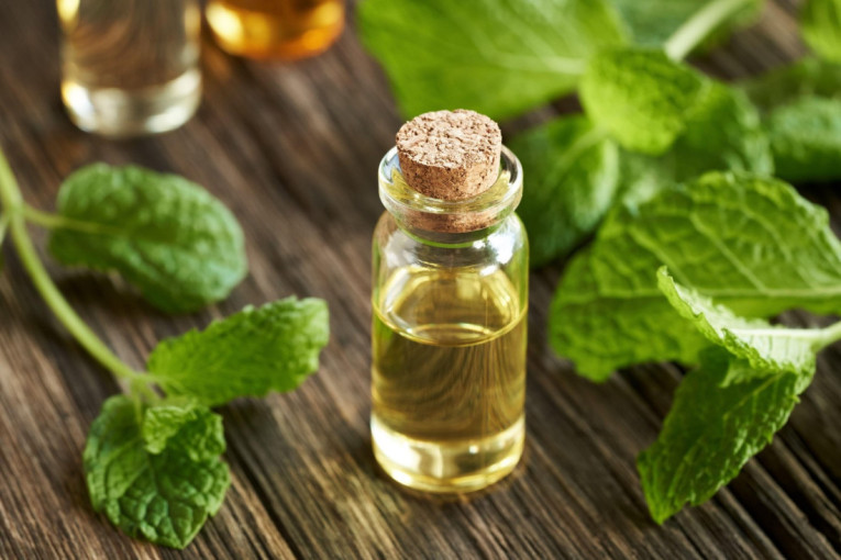 Prirodni osveživači su uvek u trendu:  Neka vaš dom dobro miriše