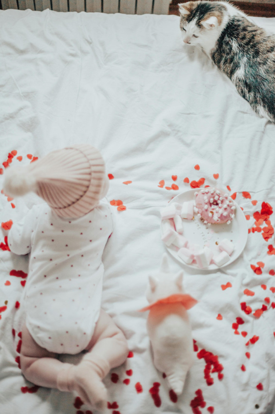 Saveti za porodice koje očekuju bebu: Evo kako da pripremite vašu mačku za dolazak prinove